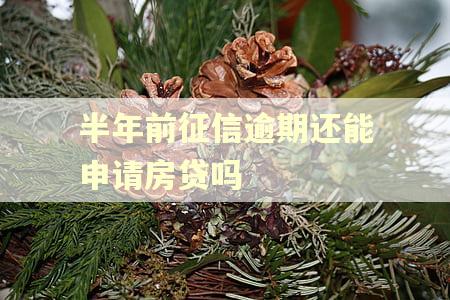 半年前征信逾期还能申请房贷吗