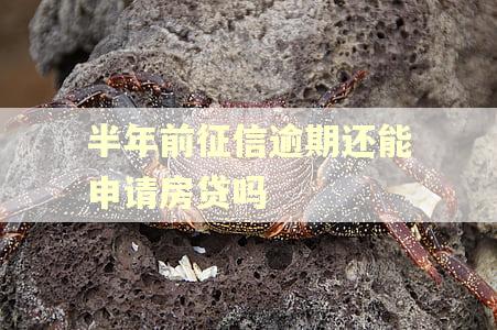 半年前征信逾期还能申请房贷吗
