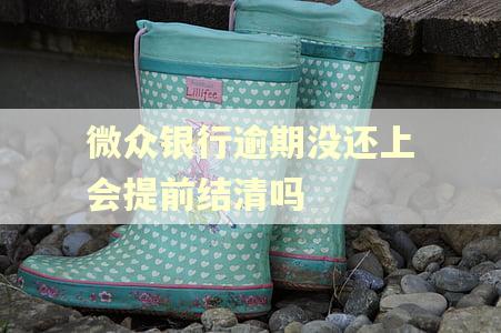 微众银行逾期没还上会提前结清吗