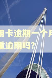 信用卡逾期一个月算严重逾期吗？