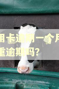 信用卡逾期一个月算严重逾期吗？
