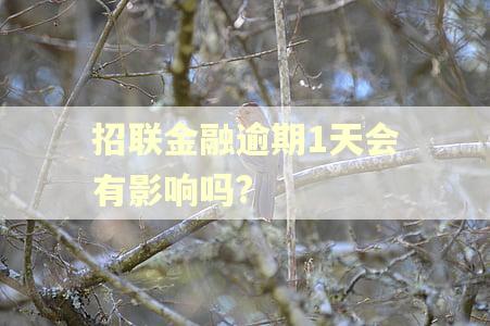 招联金融逾期1天会有影响吗?
