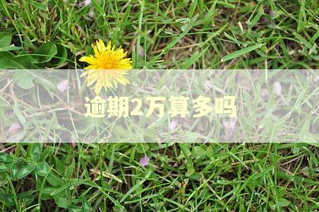 逾期2万算多吗