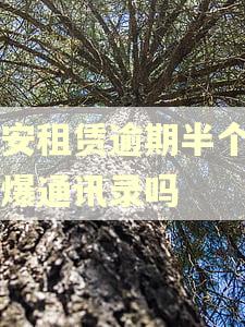 平安租赁逾期半个月就爆通讯录吗