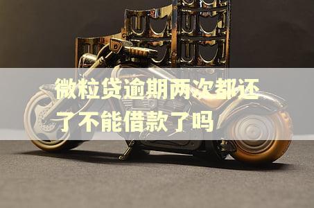 微粒贷逾期两次都还了不能借款了吗
