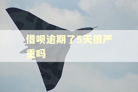 借呗逾期了5天很严重吗
