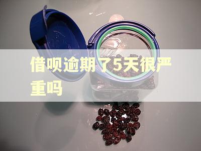借呗逾期了5天很严重吗 借呗逾期了5天很严重吗