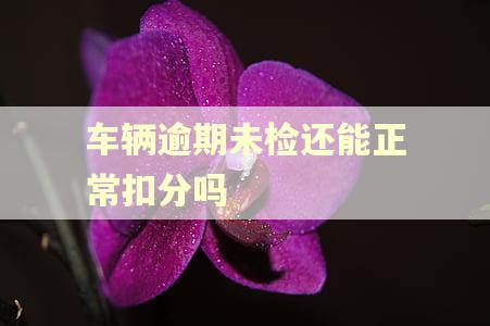 车辆逾期未检还能正常扣分吗 车辆逾期未检还能正常扣分吗