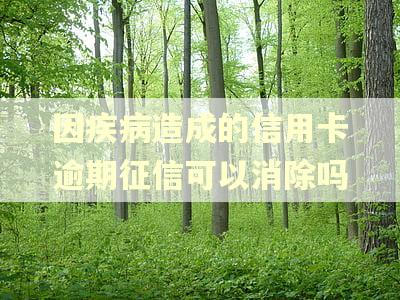 因疾病造成的信用卡逾期征信可以消除吗