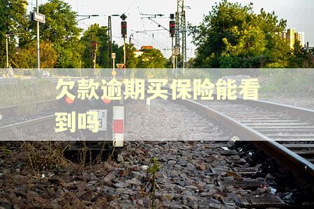 欠款逾期买保险能看到吗