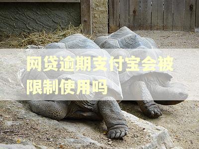 网贷逾期支付宝会被限制使用吗