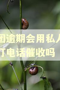 美团逾期会用私人号码打电话催收吗