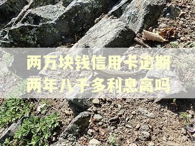 两万块钱信用卡逾期两年八千多利息高吗