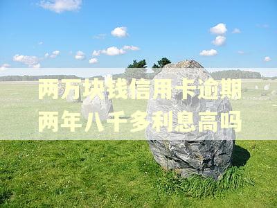 两万块钱信用卡逾期两年八千多利息高吗