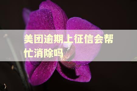美团逾期上征信会帮忙消除吗