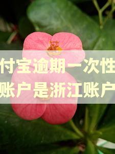 支付宝逾期一次性还款账户是浙江账户吗
