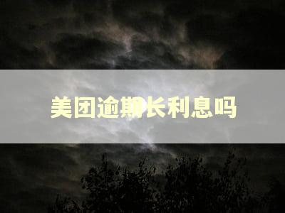 美团逾期长利息吗