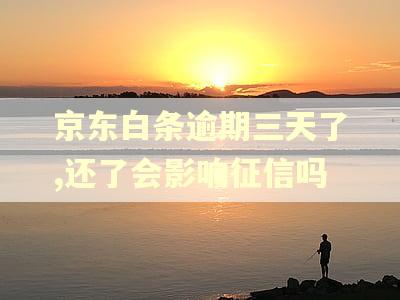 京东白条逾期三天了,还了会影响征信吗