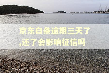 京东白条逾期三天了,还了会影响征信吗