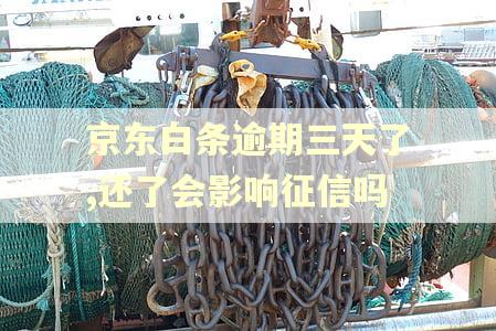 京东白条逾期三天了,还了会影响征信吗 京东白条逾期三天了,还了会影响征信吗