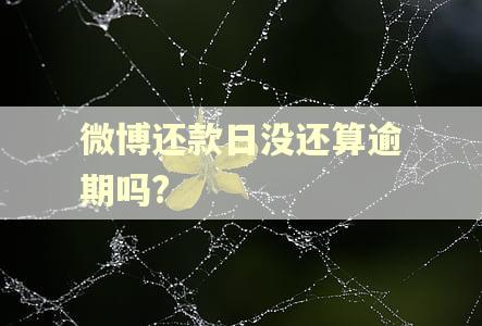 微博还款日没还算逾期吗?
