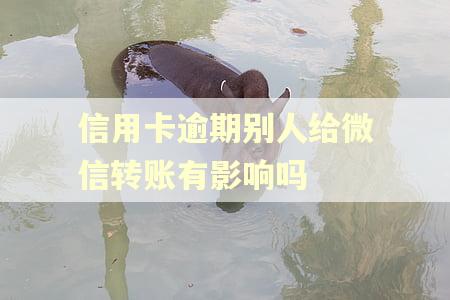 信用卡逾期别人给微信转账有影响吗