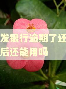 浦发银行逾期了还了以后还能用吗
