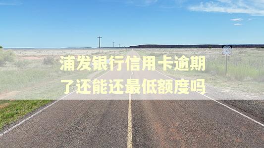 浦发银行信用卡逾期了还能还最低额度吗