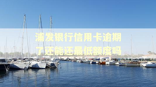 浦发银行信用卡逾期了还能还最低额度吗