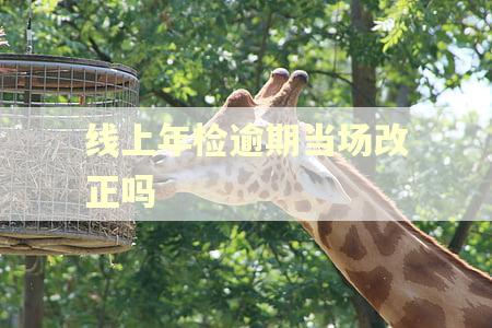 线上年检逾期当场改正吗