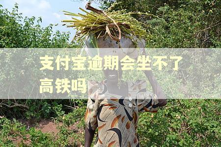 支付宝逾期会坐不了高铁吗