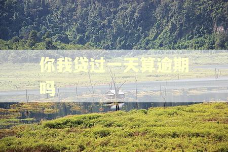 你我贷过一天算逾期吗