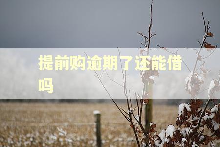 提前购逾期了还能借吗