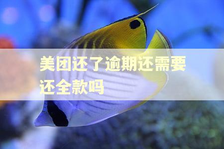 美团还了逾期还需要还全款吗