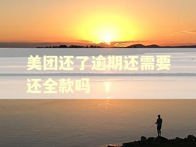 美团还了逾期还需要还全款吗