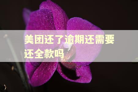 美团还了逾期还需要还全款吗