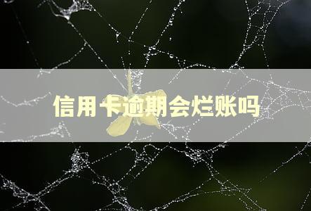 信用卡逾期会烂账吗