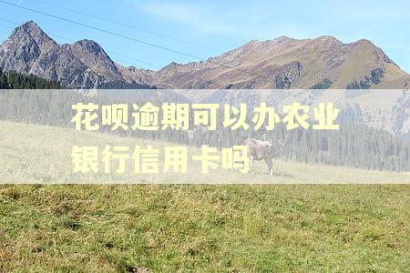 花呗逾期可以办农业银行信用卡吗