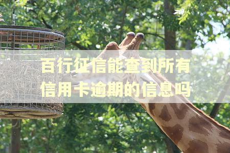 百行征信能查到所有信用卡逾期的信息吗 百行征信能查到所有信用卡逾期的信息吗
