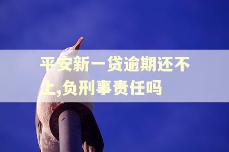 平安新一贷逾期还不上,负刑事责任吗