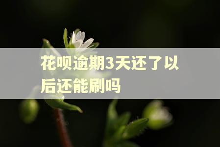 花呗逾期3天还了以后还能刷吗