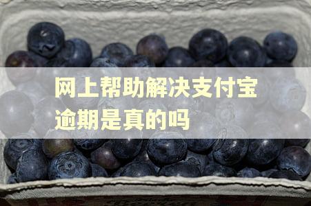 网上帮助解决支付宝逾期是真的吗