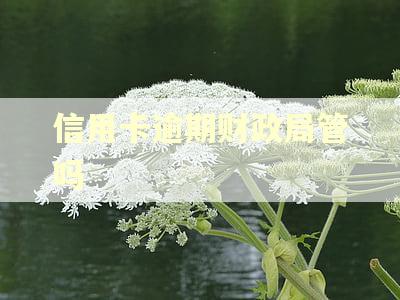 信用卡逾期财政局管吗