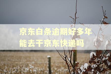 京东白条逾期好多年能去干京东快递吗