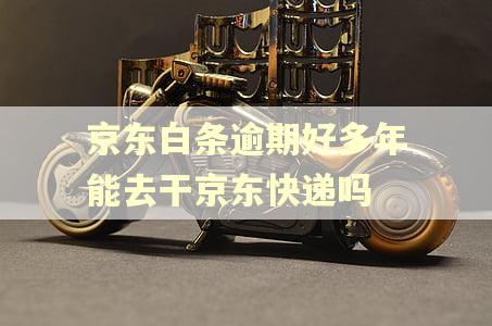 京东白条逾期好多年能去干京东快递吗 京东白条逾期好多年能去干京东快递吗