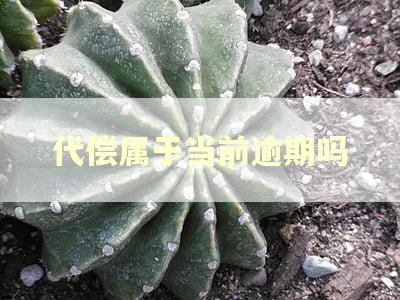 代偿属于当前逾期吗