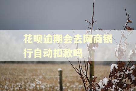 花呗逾期会去网商银行自动扣款吗
