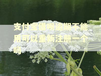 支付宝借呗逾期不能用可以重新注册一个吗