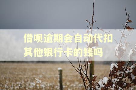借呗逾期会自动代扣其他银行卡的钱吗 借呗逾期会自动代扣其他银行卡的钱吗
