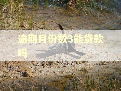 逾期月份数3能贷款吗 逾期月份数3能贷款吗
